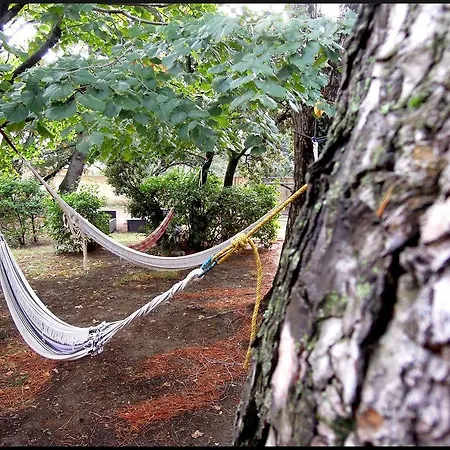 La Vigne Et L'olivier Bed & Breakfast Villeneuve-les-Avignon